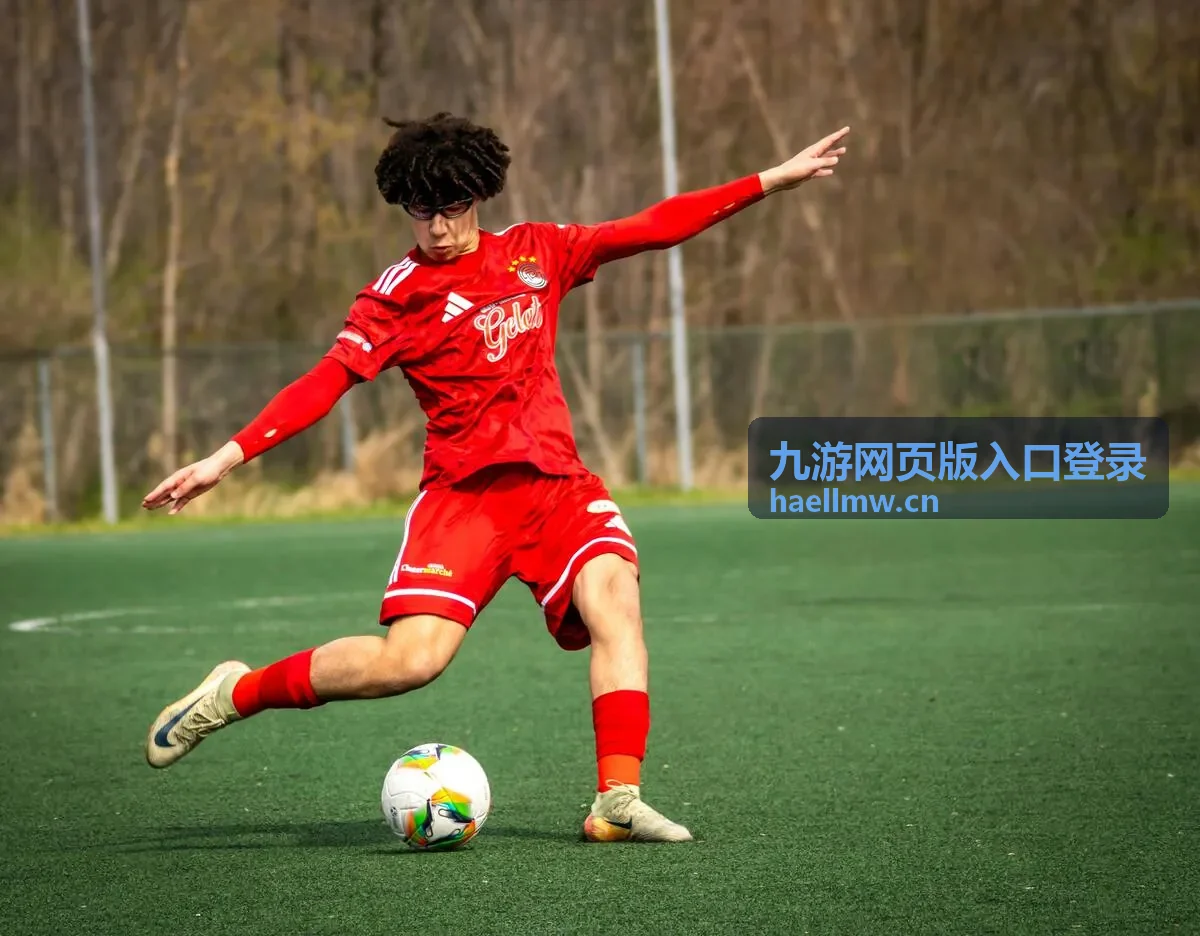 九游网页版入口登录的账号验证通道示意